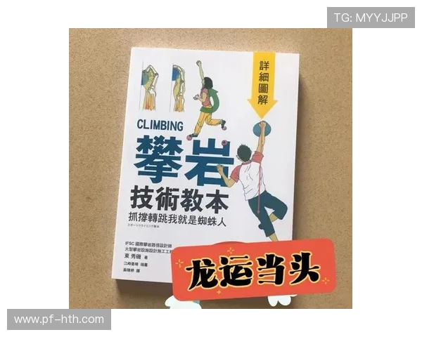 南京攀岩队协作表现分析探讨团队配合与个人能力的关系